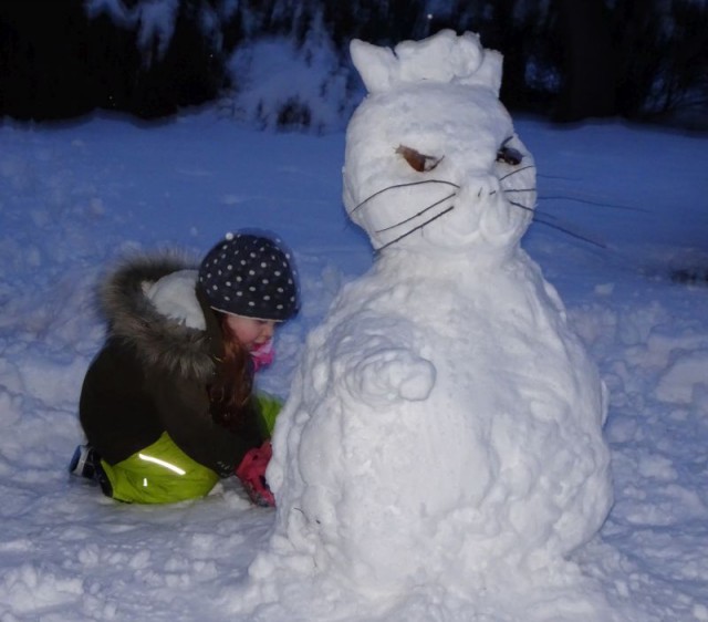 2018_02_schneekatze.jpg