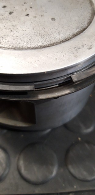 20190516_175607-600x1234.jpg (124.79 KiB) 3375-mal betrachtet 20190516_175607-600x1234.jpg