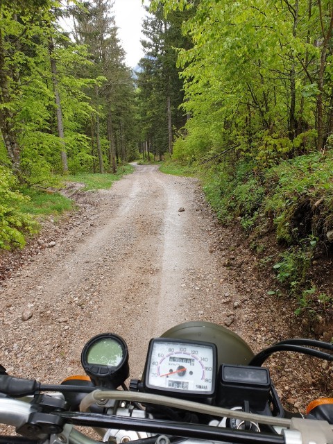 20190525_150250_resized.jpg (801.88 KiB) 4850-mal betrachtet 20190525_150250_resized.jpg