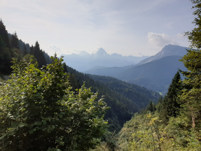 20190910_093533_resized.jpg (437.95 KiB) 4991-mal betrachtet 20190910_093533_resized.jpg