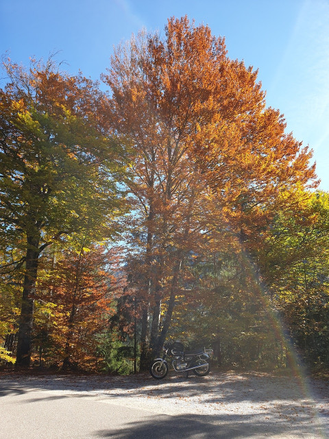 20191017_130648_resized_1.jpg (788.21 KiB) 7067-mal betrachtet 20191017_130648_resized_1.jpg