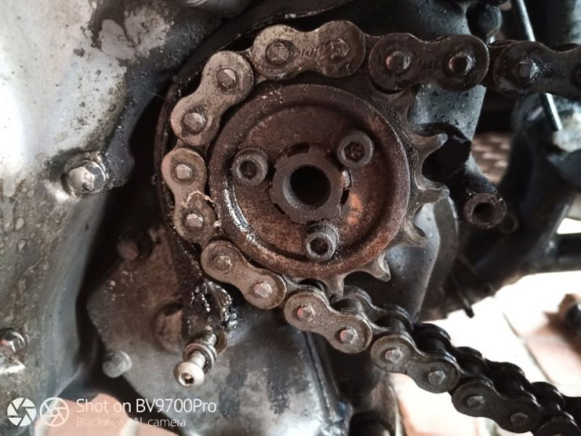 IMG_20200412_160743wasp kette1.jpg