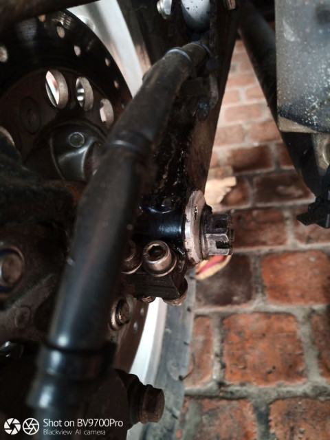 IMG_20200412_160825wasp kette3.jpg