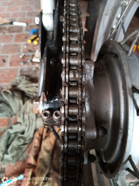 IMG_20200412_160841wasp kette4.jpg