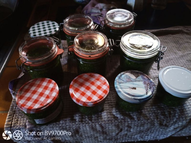 IMG_20200413_175921pesto1.jpg