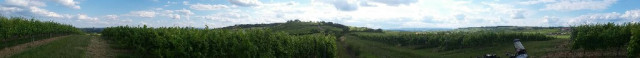 20200621_174643-1024x92.jpg