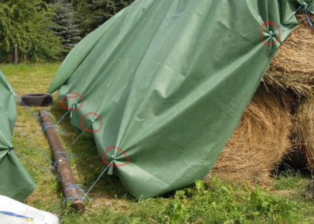 tischtennisbälle.jpg (115.22 KiB) 5522-mal betrachtet tischtennisbälle.jpg