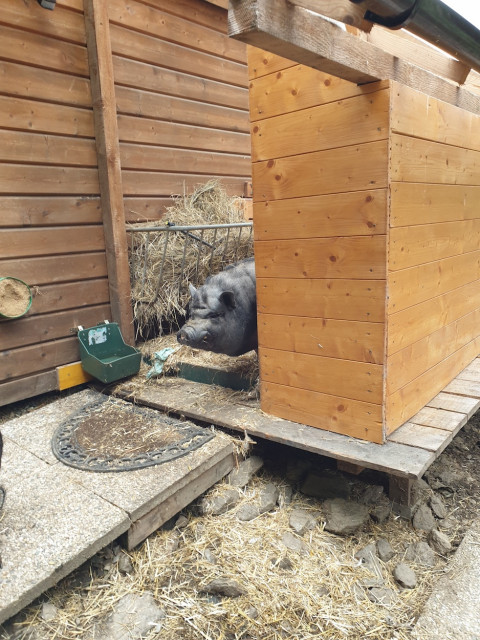 20200726_115533_resized.jpg (559.58 KiB) 21356-mal betrachtet 20200726_115533_resized.jpg