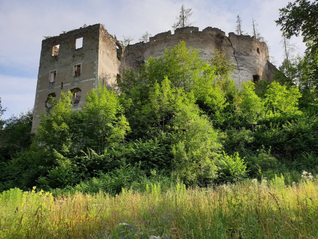 20200726_175105_resized.jpg (734.4 KiB) 21356-mal betrachtet 20200726_175105_resized.jpg