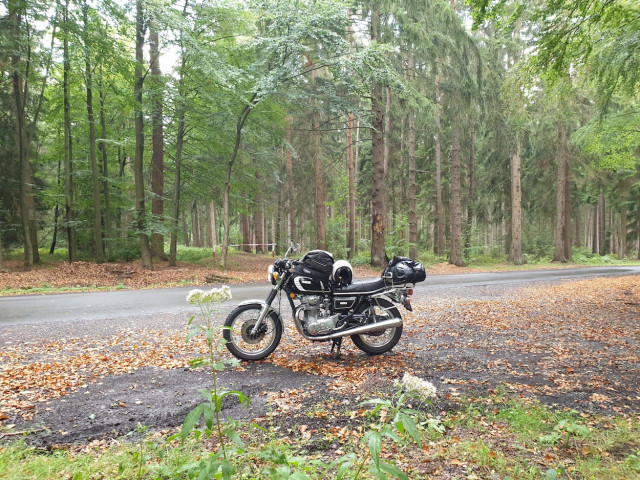 20200816_151041_resized.jpg (822.39 KiB) 7249-mal betrachtet 20200816_151041_resized.jpg