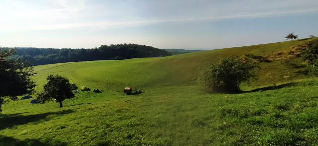 Morgendliche Aussichten.jpg