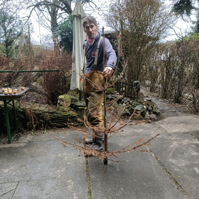 IMG-20201224-WA0001.jpg (554.6 KiB) 3117-mal betrachtet IMG-20201224-WA0001.jpg