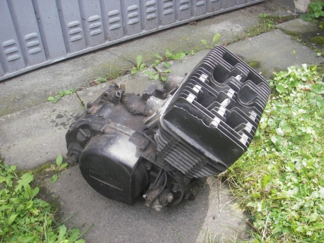 IMGP0203.jpg