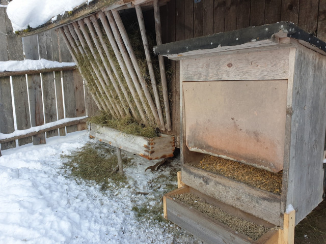 20210118_131323_001_resized.jpg (530.25 KiB) 5422-mal betrachtet 20210118_131323_001_resized.jpg