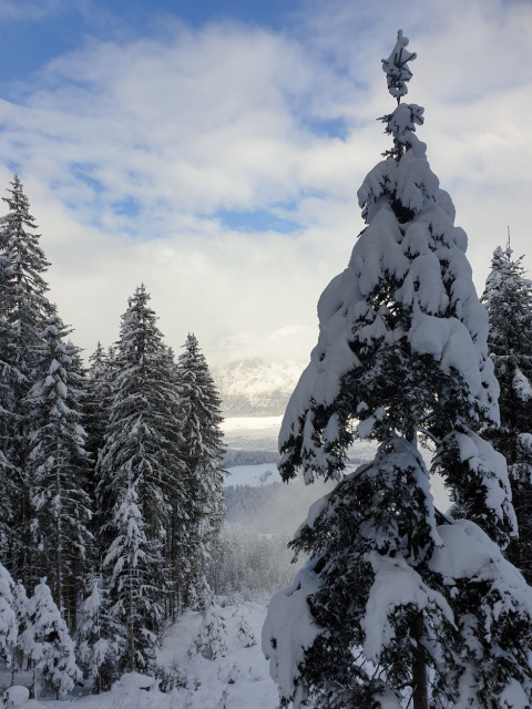 20210118_124658_resized.jpg (452.53 KiB) 5444-mal betrachtet 20210118_124658_resized.jpg