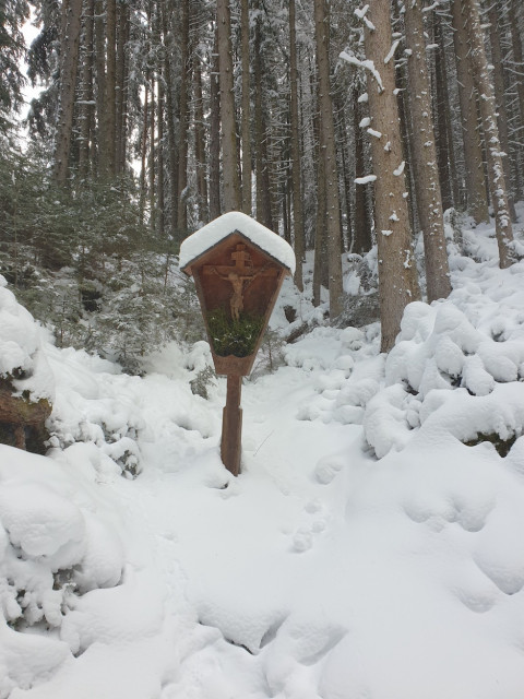 20210118_121153_resized.jpg (461.11 KiB) 5422-mal betrachtet 20210118_121153_resized.jpg