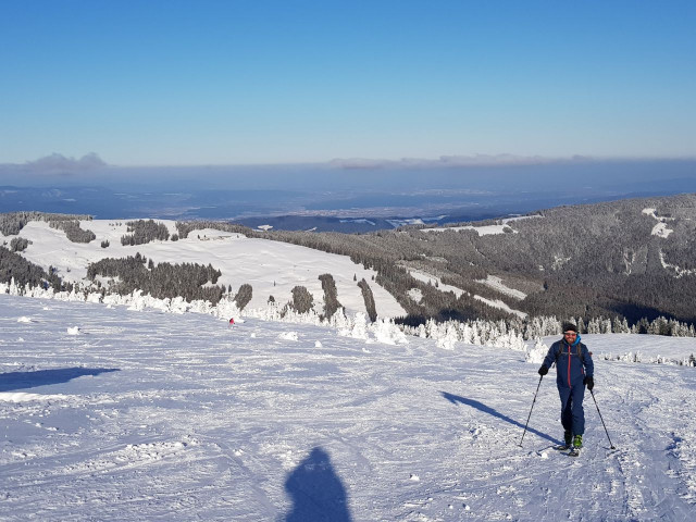 2021-01-11 14.06.29.jpg