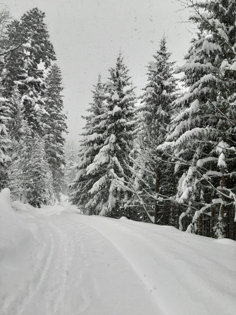 IMG-20210117-WA0008_.jpg