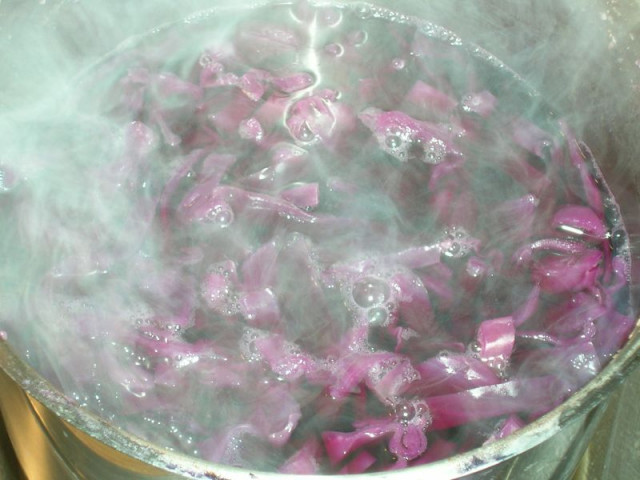 01-BlauKraut.jpg