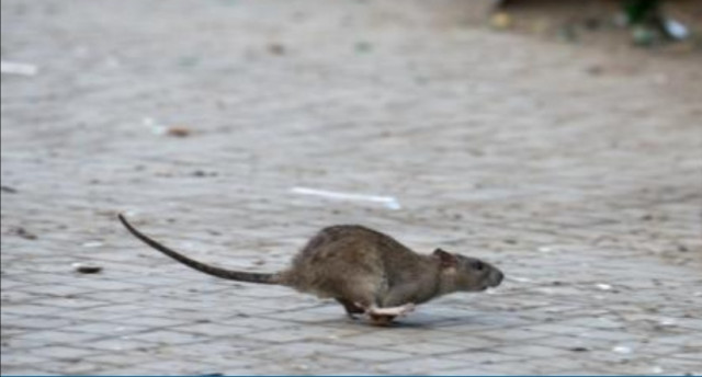 Screenshot_20210302_091042.jpg (78.65 KiB) 2528-mal betrachtet Screenshot_20210302_091042.jpg