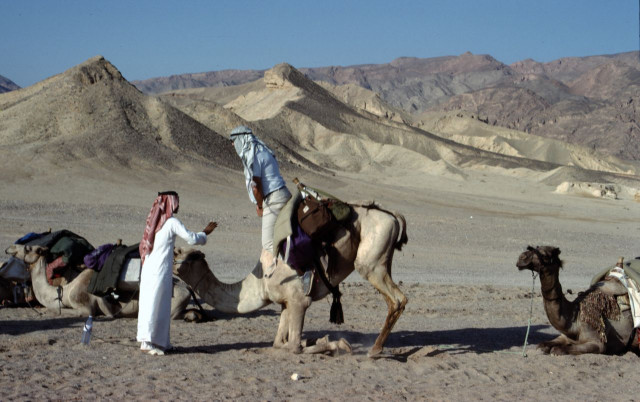 egypt090.jpg