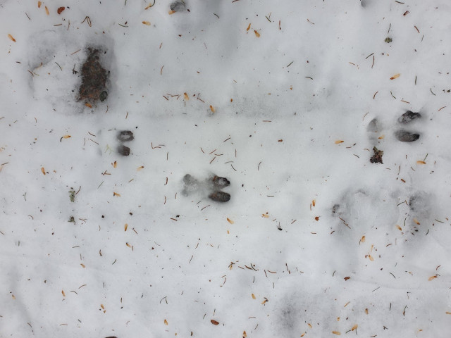 20210327_113716.jpg
