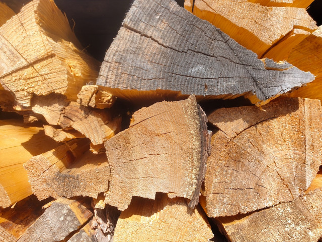 20210401_144700_resized.jpg (718.08 KiB) 4067-mal betrachtet 20210401_144700_resized.jpg