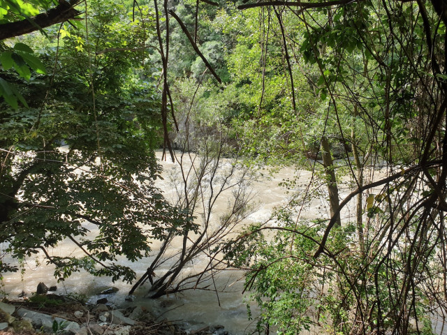 20210619_112606_resized.jpg (893.97 KiB) 3996-mal betrachtet 20210619_112606_resized.jpg