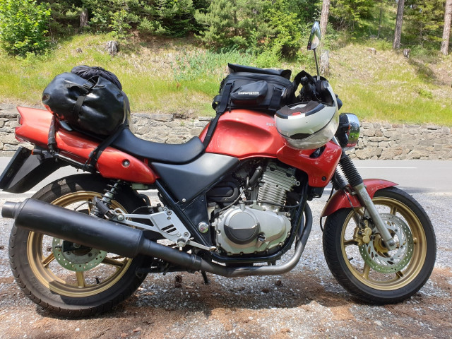 20210619_133521_resized.jpg (681.98 KiB) 3895-mal betrachtet 20210619_133521_resized.jpg