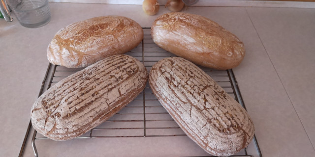 Brot_2.jpg