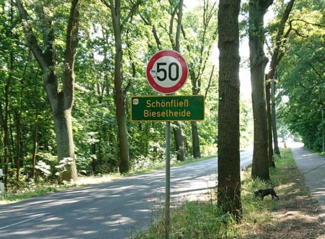 Bieselheide.JPG