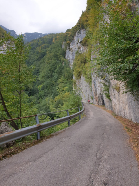 20210915_173117.jpg (621.72 KiB) 6094-mal betrachtet 20210915_173117.jpg