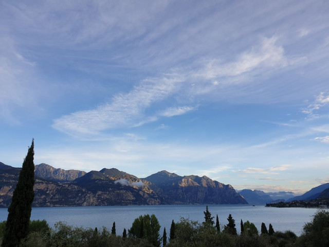 20210917_075156.jpg (265.62 KiB) 6094-mal betrachtet 20210917_075156.jpg