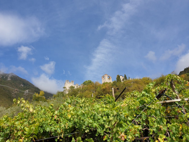 20210917_113235.jpg (456.71 KiB) 6093-mal betrachtet 20210917_113235.jpg