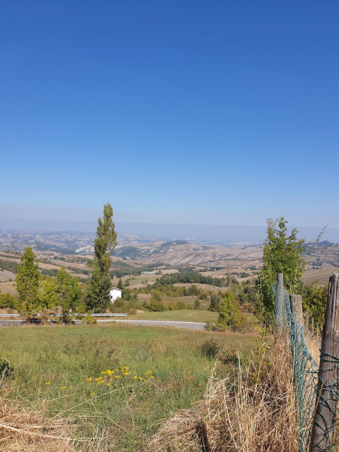 20210924_122856.jpg (374.95 KiB) 6460-mal betrachtet 20210924_122856.jpg