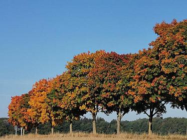 herbst.jpg