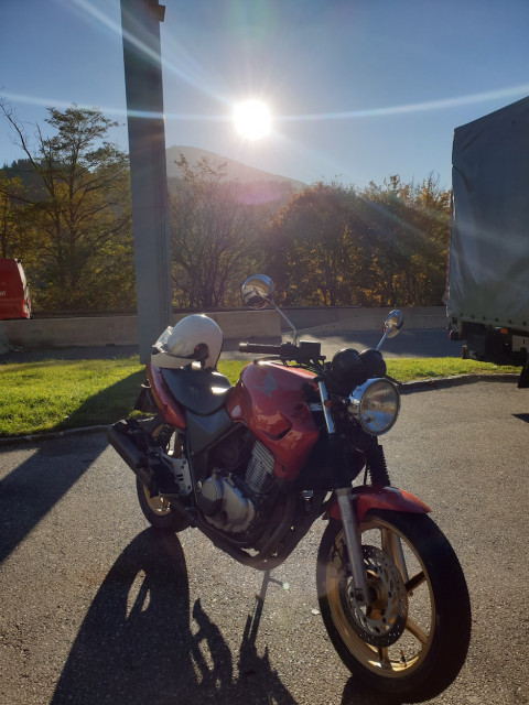 20211028_094857_resized.jpg (447.17 KiB) 4126-mal betrachtet 20211028_094857_resized.jpg