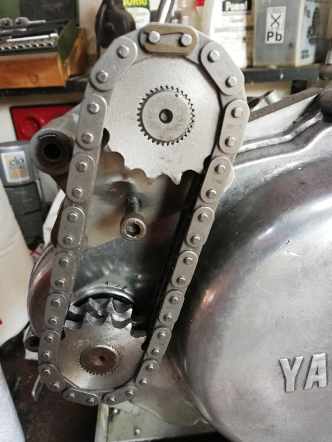 IMG_20220322_151838_1_copy_864x1152.jpg (227.28 KiB) 5541-mal betrachtet IMG_20220322_151838_1_copy_864x1152.jpg