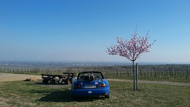 20220322_153048_Richtone(HDR)_copy_1024x576.jpg