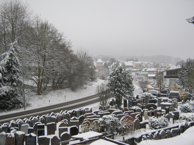 2022-04-02 13_15_28-IMG_5738.png