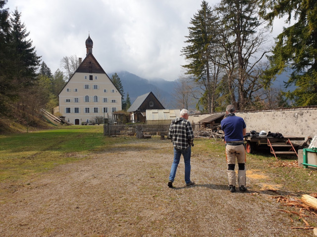 20220415_135353_resized.jpg (667.89 KiB) 5442-mal betrachtet 20220415_135353_resized.jpg