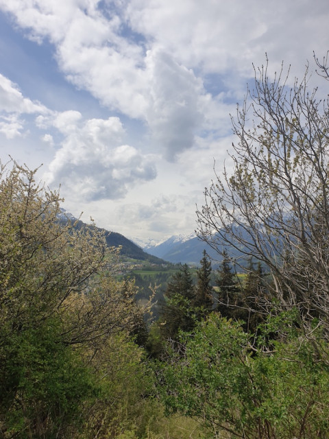 20220505_120746_resized.jpg (377.51 KiB) 2916-mal betrachtet 20220505_120746_resized.jpg