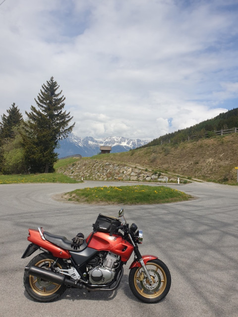 20220505_120736_resized.jpg (277.81 KiB) 2916-mal betrachtet 20220505_120736_resized.jpg