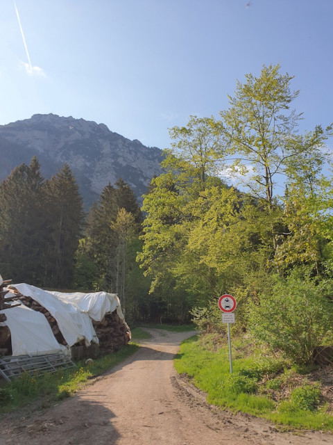 20220512_090209.jpg (264.79 KiB) 3190-mal betrachtet 20220512_090209.jpg