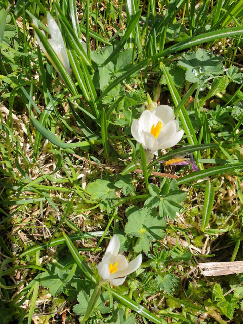 20220515_112137.jpg