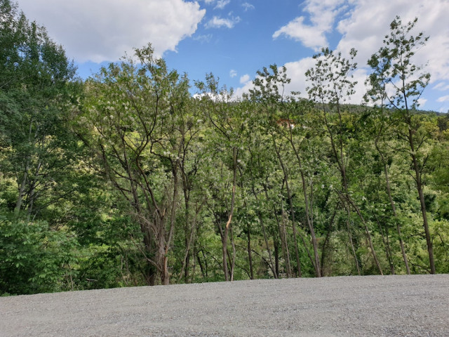 20220518_153632.jpg (427.96 KiB) 3266-mal betrachtet 20220518_153632.jpg