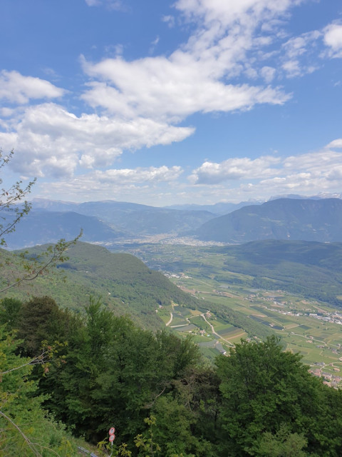 20220518_125259.jpg (260.5 KiB) 3266-mal betrachtet 20220518_125259.jpg