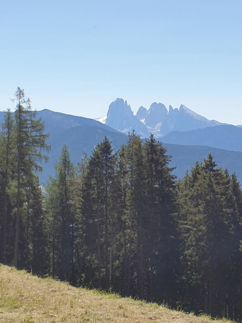 20220612_112205.jpg (158.68 KiB) 2905-mal betrachtet 20220612_112205.jpg