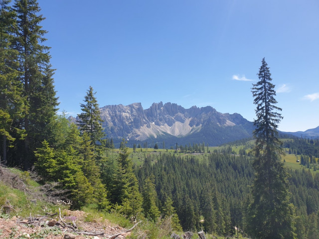 20220612_151342.jpg (308.55 KiB) 2816-mal betrachtet 20220612_151342.jpg