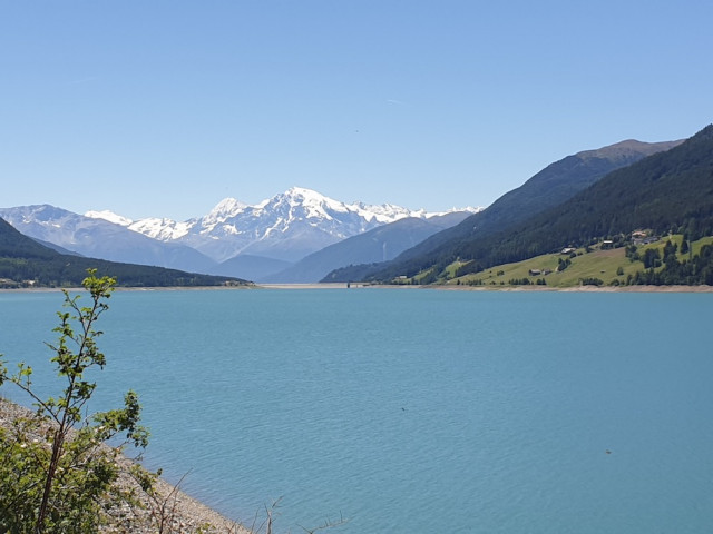 20220614_121821.jpg (142.98 KiB) 3515-mal betrachtet 20220614_121821.jpg